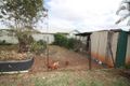 Property photo of 50 Dalrymple Road Richmond Hill QLD 4820