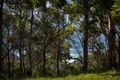 Property photo of 6 Pimms Court Tathra NSW 2550