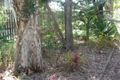 Property photo of 70 Bayside Road Cooloola Cove QLD 4580