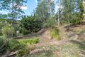 Property photo of 10 Pademelon Pass Nerang QLD 4211