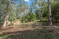Property photo of 10 Pademelon Pass Nerang QLD 4211
