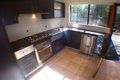 Property photo of 29 Alfred Street Lilyfield NSW 2040