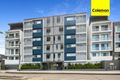 Property photo of 307/243-249 Canterbury Road Canterbury NSW 2193