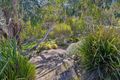 Property photo of 465 Waldegrave Road Forest Reefs NSW 2798