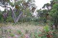 Property photo of 131 Carthys Road Naracoorte SA 5271