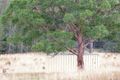 Property photo of 2 Gallipoli Court Rainbow Flat NSW 2430