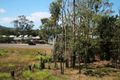 Property photo of 24 Abell Road Cannonvale QLD 4802