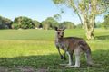 Property photo of 13 Millennium Circuit Pelican Waters QLD 4551