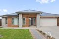 Property photo of 20 Peaceful Avenue Armstrong Creek VIC 3217