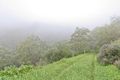 Property photo of LOT 96 Norton Summit Road Teringie SA 5072