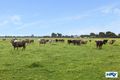 Property photo of 591 Muchea South Road Muchea WA 6501