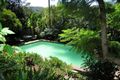 Property photo of 105 Elimatta Road Mona Vale NSW 2103