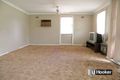 Property photo of 31 Helena Avenue Emerton NSW 2770