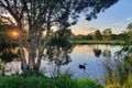 Property photo of 2031/1 The Vistas Drive Carrara QLD 4211