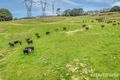 Property photo of 190 Rosatos Road Moe South VIC 3825