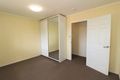Property photo of 39 Indigo Crescent Sunset QLD 4825