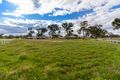 Property photo of 7 Rodda Drive Cudal NSW 2864