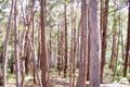 Property photo of 25 New Forster Road Smiths Lake NSW 2428