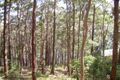 Property photo of 25 New Forster Road Smiths Lake NSW 2428