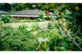 Property photo of 3 Ringwood Place Bellingen NSW 2454