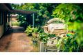 Property photo of 3 Ringwood Place Bellingen NSW 2454