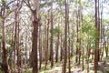 Property photo of 25 New Forster Road Smiths Lake NSW 2428