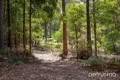 Property photo of 225 Fyfes Road Mountain River TAS 7109