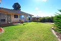 Property photo of 37 Bushgum Crescent Upper Coomera QLD 4209