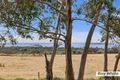 Property photo of 65 McIlwraith Road Rhyll VIC 3923