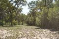 Property photo of 359 Deepwater Road Deepwater QLD 4674