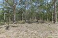 Property photo of LOT 209 Collombatti Road Collombatti NSW 2440