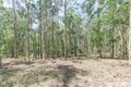 Property photo of LOT 209 Collombatti Road Collombatti NSW 2440