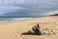 Property photo of 19 Lightwood Grove Ocean Grove VIC 3226