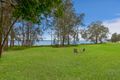 Property photo of 37 Panorama Avenue Charmhaven NSW 2263