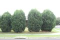 Property photo of 7 Deidre Street Dandenong North VIC 3175
