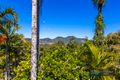 Property photo of 489-495 Eumundi Range Road Eumundi QLD 4562