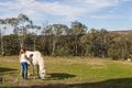 Property photo of 38 Robertson Road Wamboin NSW 2620