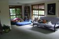 Property photo of 16 Pine Avenue Mullumbimby NSW 2482