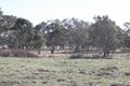 Property photo of 131 Orchard Road Loch Lomond QLD 4370