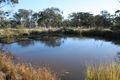 Property photo of 131 Orchard Road Loch Lomond QLD 4370