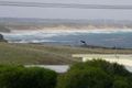 Property photo of 1/1A Rees Street Kilcunda VIC 3995