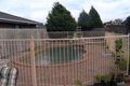 Property photo of 17 Bee Teng Court Aspendale Gardens VIC 3195