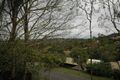 Property photo of 116 Greentrees Avenue Kenmore Hills QLD 4069