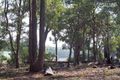 Property photo of 258 Hetherington Road Argyle WA 6239