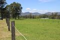 Property photo of 176 Bucketts Road Gloucester NSW 2422