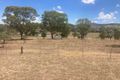 Property photo of 70 High Street Bunnan NSW 2337
