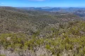 Property photo of 2515 Nullo Mountain Road Nullo Mountain NSW 2849