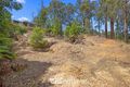Property photo of 224 Emerald-Monbulk Road Monbulk VIC 3793