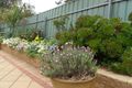 Property photo of 2 Riverview Parade Blakeview SA 5114