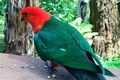 Property photo of 51 Sandells Road Tecoma VIC 3160